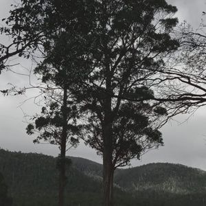 Meet your Posher, Imogene